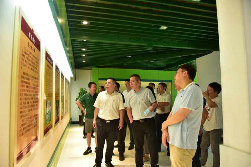 市政分公司黨總支、合肥市重點(diǎn)局直屬黨委第二黨支部聯(lián)合開展主題黨日活動(dòng)3